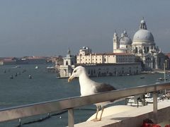 -圣马尔谷圣殿宗主教座堂