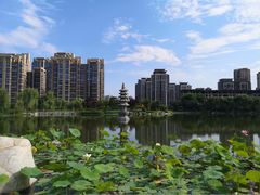 -木塔寺遗址生态公园