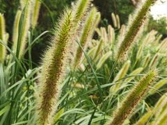 -前小桔亲子创意农场·草莓采摘·露营烧烤