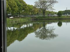 -水岸居湖景农家乐·阳澄湖大闸蟹