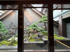 -曲水兰亭(北京四惠店)