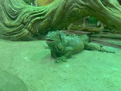 -华夏文旅西安度假区