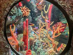 -沈阳海洋探索中心