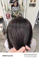 点击看大图 -藤野造型