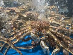 -徐记海鲜(大明宫|北二环店)