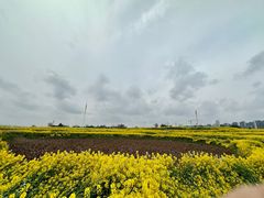 -三圣花乡旅游区