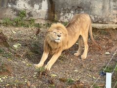 -石家庄市动物园
