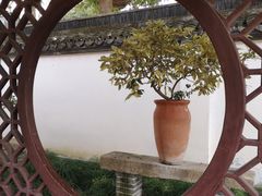 -上海醉白池公园