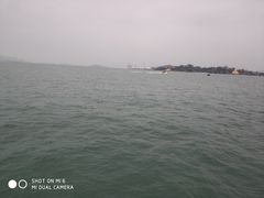 -演武大桥观景平台