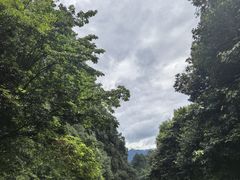 -黄山翡翠谷景区