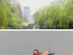 -运河游船(武林门码头)