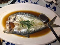 长江鲥鱼-江南赋(内蒙古大厦店)