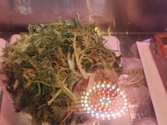 -人民公社大食堂(张家湾店)