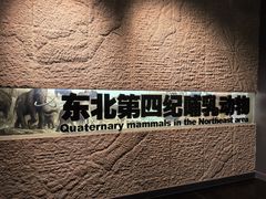 -大庆市博物馆