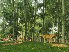 -北京野生动物园