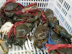 -盒马鲜生(宝地店)