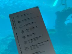-海棠湾洲际-涛·海底餐厅·美人鱼·自助餐·海底隧道