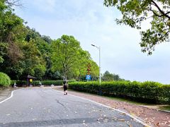 -火炉山森林公园