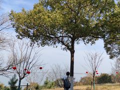 -南京金牛湖风景区