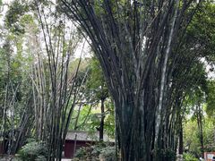 -望江楼公园