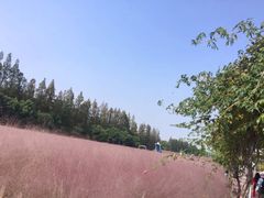 -嘉北郊野公园