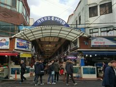 -西归浦每天偶来市场