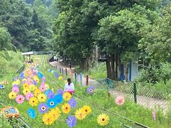 -长沙黑麋峰国家森林公园
