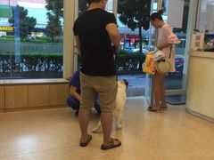 -芭比堂动物医院·24小时·眼科中心(深圳中心)
