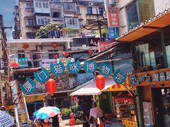 -猫咪博物馆(顶澳仔猫街店)