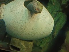 -珠海长隆海洋王国
