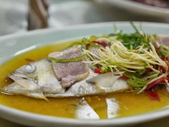 蒸鲥鱼-沪依小酒馆心意菜