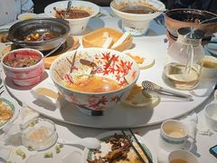 -三强鸽子(中原路店)