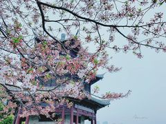 -凤城河风景区