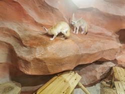 -Zoolung Zoolung动物主题公园(海信广场店)