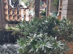 景观位-阿多私房菜(顺德店)