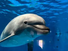 -泉城欧乐堡海洋极地世界