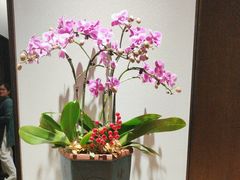 -花锦堂·隐庐
