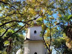 -江心屿景区