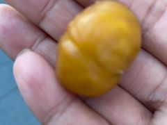 -秋栗香(地安门店)