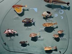 -中国湿地博物馆