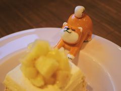 -柴务处·柴犬主题狗咖