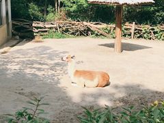-杭州动物园