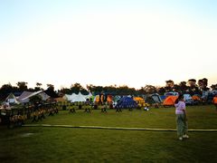 -春花秋色城市公园