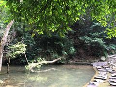 iphone_upload_pic-鼎湖山风景区