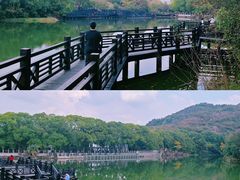 -白马涧龙池景区