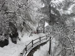 -秦岭天竺山景区