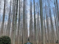 -上海怡沁园度假酒店