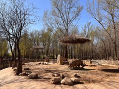 -北京野生动物园