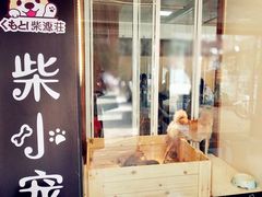 -柴源莊·柴小宠柴犬咖啡