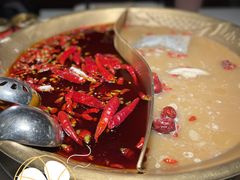 -小龙坎火锅(IFS HOT店)